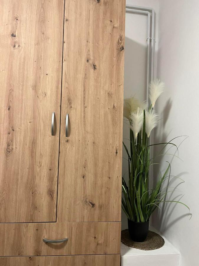 Alfa Apartmani スボティツァ エクステリア 写真